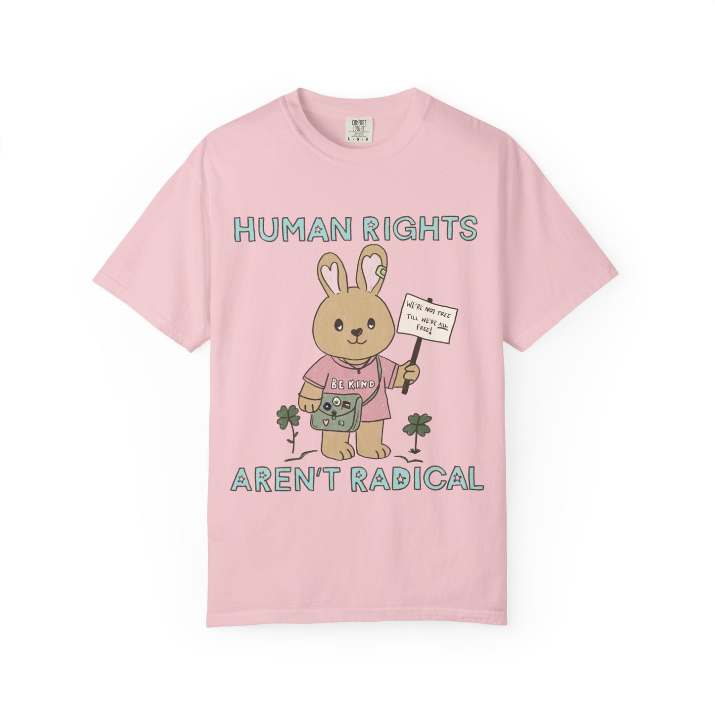 Human Rights Aren't Radical Tee
