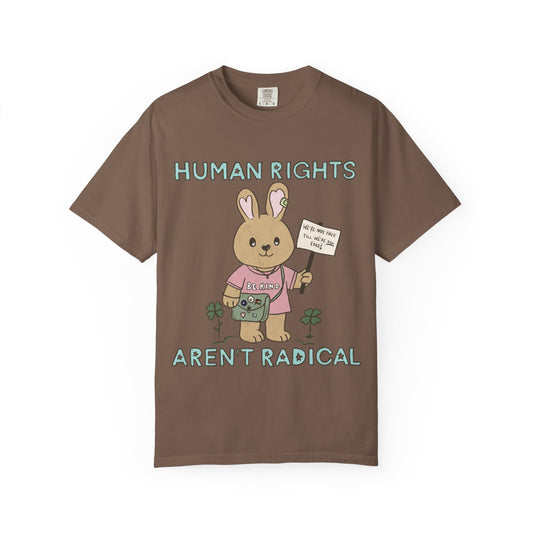 Human Rights Aren't Radical Tee