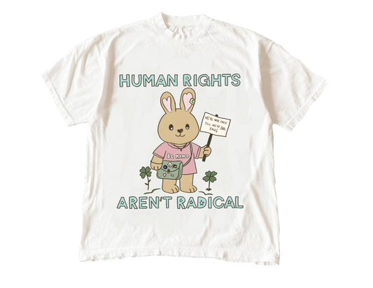 Human Rights Aren't Radical Tee